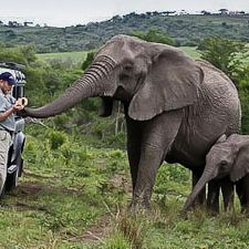The Elephant Whisperer